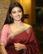 Actress Anandhi at Itlu Maredumilli Prajanikam Pre Release Event Photos 06