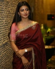 Actress Anandhi at Itlu Maredumilli Prajanikam Pre Release Event Photos 09
