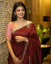 Actress Anandhi at Itlu Maredumilli Prajanikam Pre Release Event Photos 12
