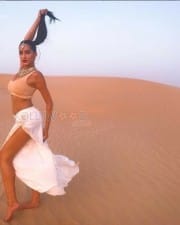 Actress And Model Nora Fatehi Photos