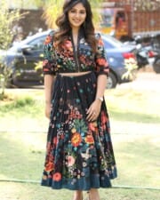 Actress Anjali at Geethanjali Malli Vachindhi Press Meet Photos 10