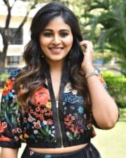 Actress Anjali at Geethanjali Malli Vachindhi Press Meet Photos 31