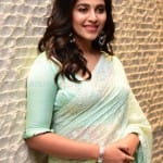 Anjali 21 Actress Anjali at Vakeel Saab Maguva Nee Vijayam Event Stills