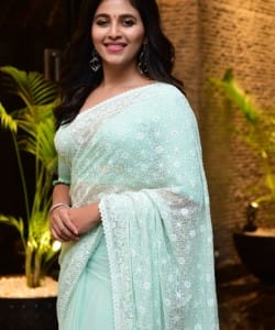 Actress Anjali at Vakeel Saab Maguva Nee Vijayam Event Stills