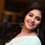 Anjali 12 Actress Anjali at Vakeel Saab Maguva Nee Vijayam Event Stills