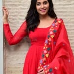 Anjali 5 Actress Anjali at Vakeel Saab Movie Promo Event Stills