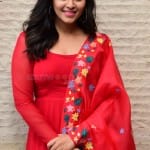 Actress Anjali at Vakeel Saab Movie Promo Event Stills 16Actress Anjali at Vakeel Saab Movie Promo Event Stills 16 svg%3E
