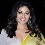 Actress Anjali at Vakeel Saab Pre-Release Event Pictures 08Actress Anjali at Vakeel Saab Pre-Release Event Pictures 08 svg%3E