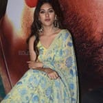 Actress Anu Emmanuel at Maha Samudram Movie Trailer Launch Photos 24 Actress Anu Emmanuel at Maha Samudram Movie Trailer Launch Photos 24