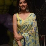 Actress Anu Emmanuel at Maha Samudram Movie Trailer Launch Photos 32 Actress Anu Emmanuel at Maha Samudram Movie Trailer Launch Photos 32