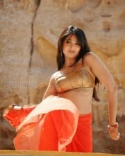 Actress Anushka Hot Saree Pictures