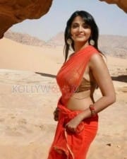 Actress Anushka Hot Saree Pictures