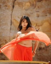 Actress Anushka Hot Saree Pictures