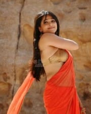 Actress Anushka Hot Saree Pictures