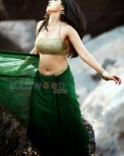 Actress Anushka Shetty Hot Navel Photos