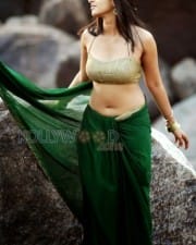 Actress Anushka Shetty Hot Navel Photos