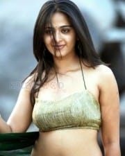 Actress Anushka Shetty Hot Navel Photos