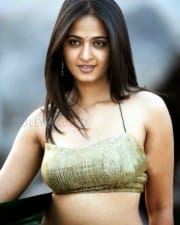 Actress Anushka Shetty Hot Navel Photos