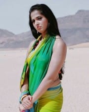 Actress Anushka Shetty Sexy Green Saree Photos