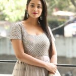 Bhanu Shree Reddy 5 Actress Bhanu Shree At Rajavamsam Movie Audio Launch Stills