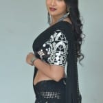 Actress Bhanu Sri at Nallamala Movie Teaser Launch Photos 01 Actress Bhanu Sri at Nallamala Movie Teaser Launch Photos 01