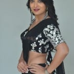Actress Bhanu Sri at Nallamala Movie Teaser Launch Photos 03 Actress Bhanu Sri at Nallamala Movie Teaser Launch Photos 03