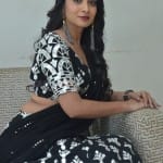 Actress Bhanu Sri at Nallamala Movie Teaser Launch Photos 14 Actress Bhanu Sri at Nallamala Movie Teaser Launch Photos 14