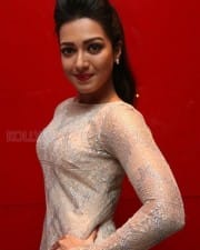 Actress Catherine Tresa At Maaveeran Kittu Audio Launch Photos