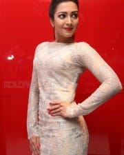 Actress Catherine Tresa At Maaveeran Kittu Audio Launch Photos