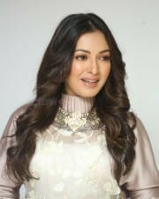 Actress Catherine Tresa At Vadaladu Movie Interview Photos