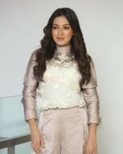 Actress Catherine Tresa At Vadaladu Movie Interview Photos