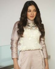 Actress Catherine Tresa At Vadaladu Movie Interview Photos