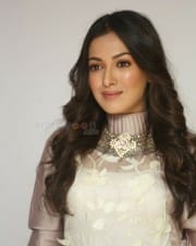 Actress Catherine Tresa At Vadaladu Movie Interview Photos