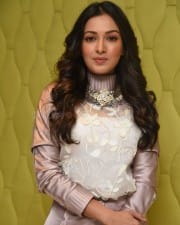 Actress Catherine Tresa At Vadaladu Movie Interview Photos