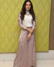 Actress Catherine Tresa At Vadaladu Movie Interview Photos