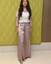 Actress Catherine Tresa At Vadaladu Movie Interview Photos