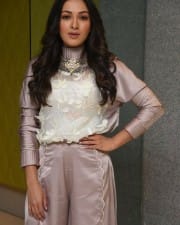 Actress Catherine Tresa At Vadaladu Movie Interview Photos