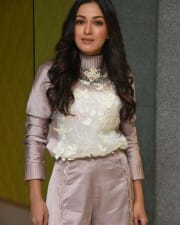 Actress Catherine Tresa At Vadaladu Movie Interview Photos