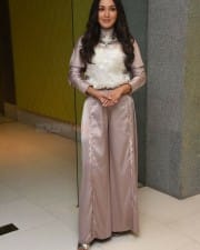 Actress Catherine Tresa At Vadaladu Movie Interview Photos