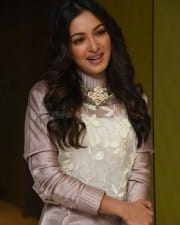 Actress Catherine Tresa At Vadaladu Movie Interview Photos