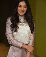 Actress Catherine Tresa At Vadaladu Movie Interview Photos