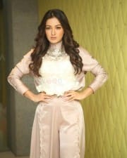Actress Catherine Tresa At Vadaladu Movie Interview Photos