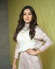 Actress Catherine Tresa At Vadaladu Movie Interview Photos