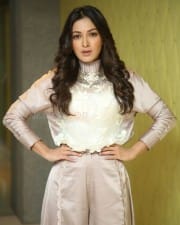 Actress Catherine Tresa At Vadaladu Movie Interview Photos