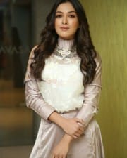 Actress Catherine Tresa At Vadaladu Movie Interview Photos