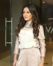 Actress Catherine Tresa At Vadaladu Movie Interview Photos