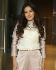 Actress Catherine Tresa At Vadaladu Movie Interview Photos