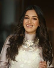 Actress Catherine Tresa At Vadaladu Movie Interview Photos