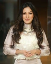 Actress Catherine Tresa At Vadaladu Movie Interview Photos