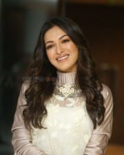 Actress Catherine Tresa At Vadaladu Movie Interview Photos